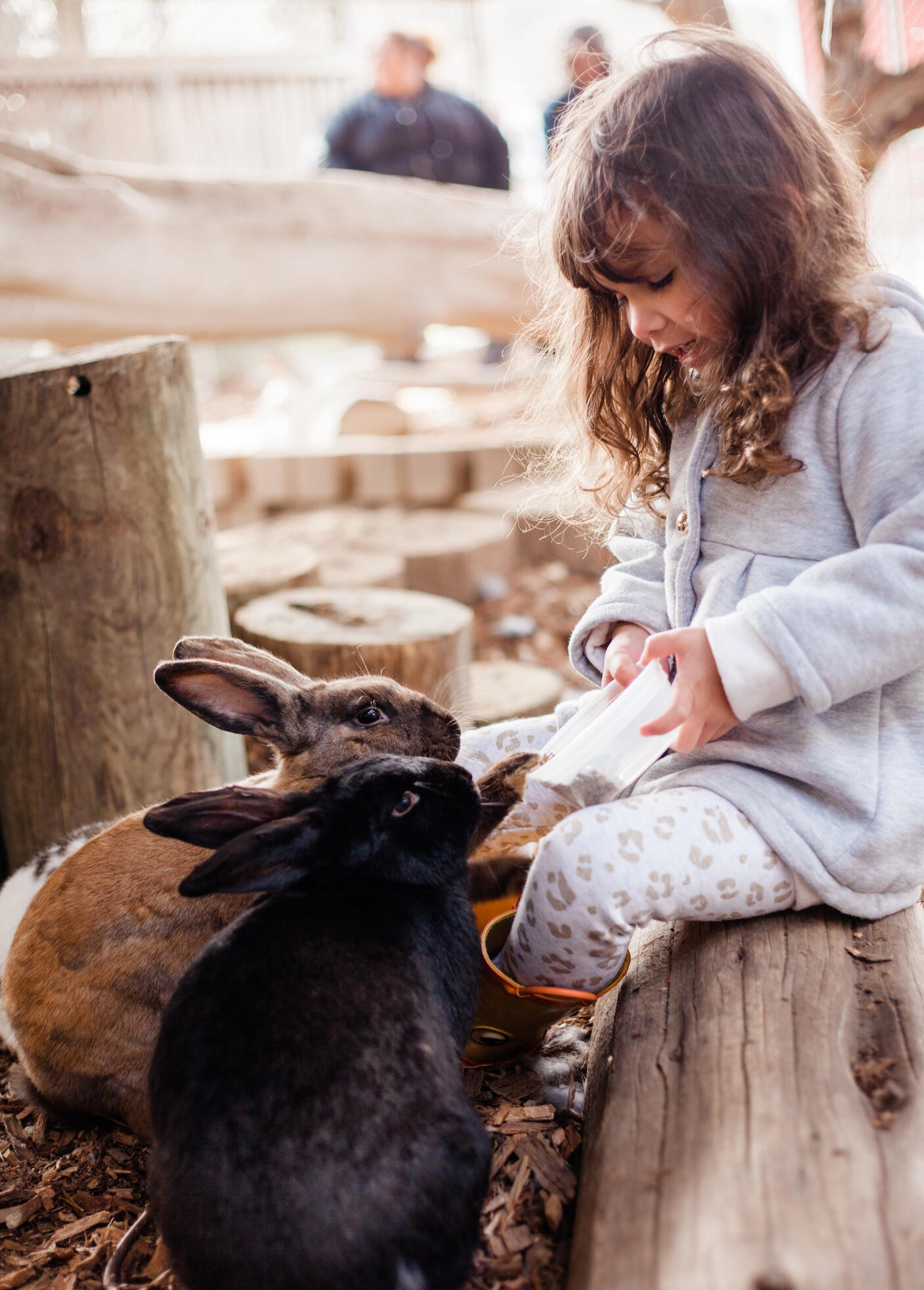 Young girl feeding rabbits at a petting zoo