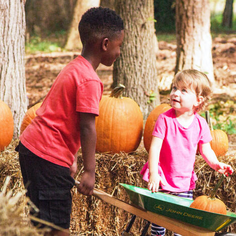 A younger and older child in a pumpkin patch